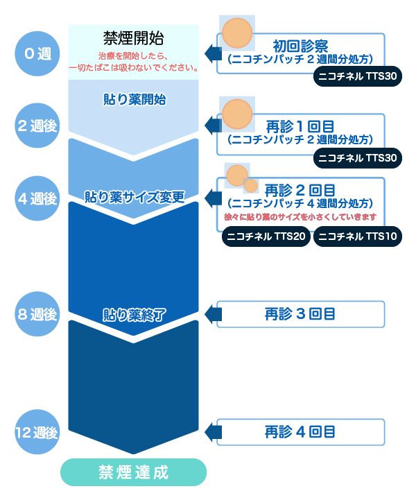 禁煙外来のスケジュール